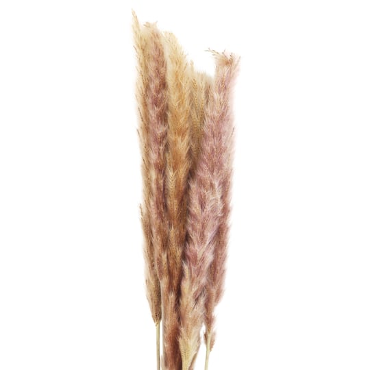 Mini Natural Brown Pampas Bunch by Ashland®